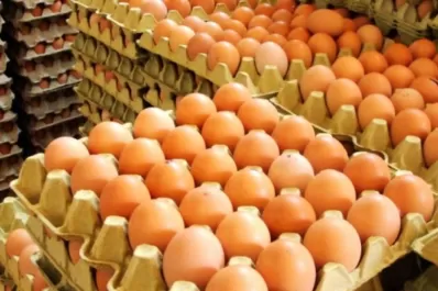 El huevo, alimento aliado de la salud humana