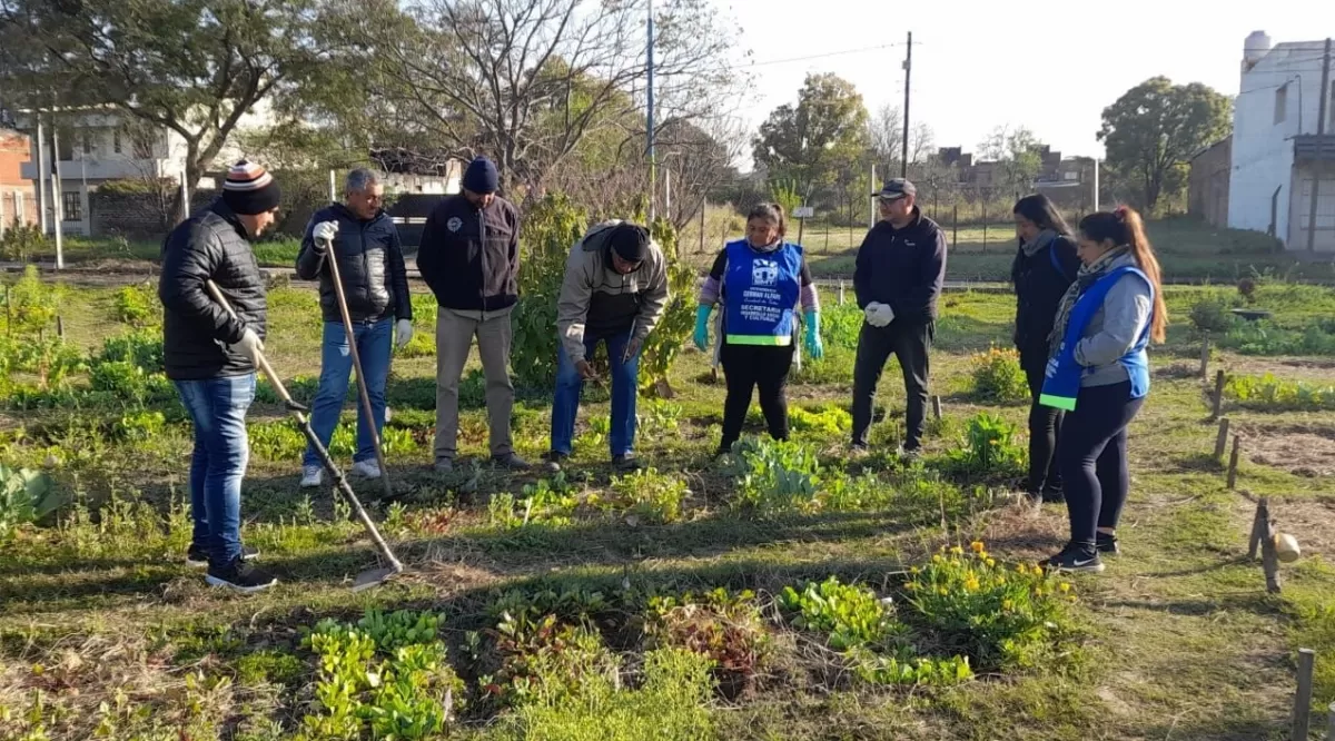 Huertas agroecológicas: taller gratuito de la Municipalidad