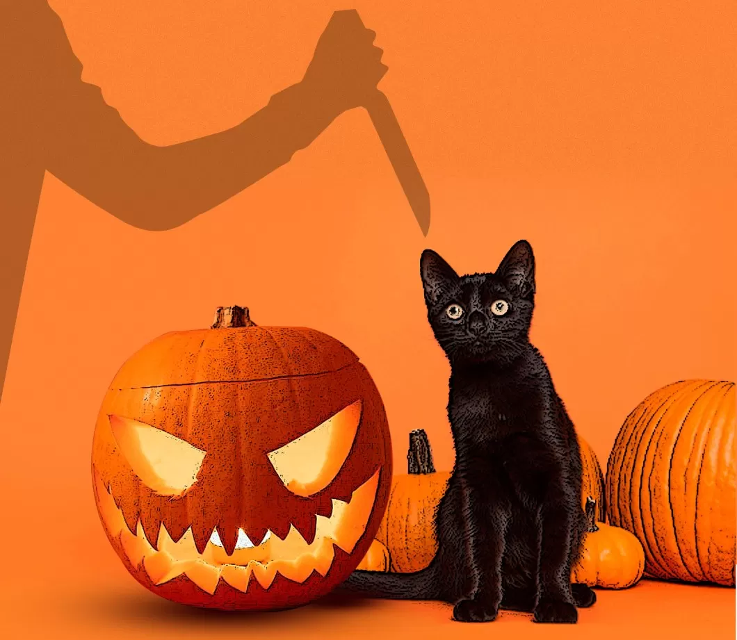Halloween: ¿existen los sacrificios y rituales con animales en Tucumán?