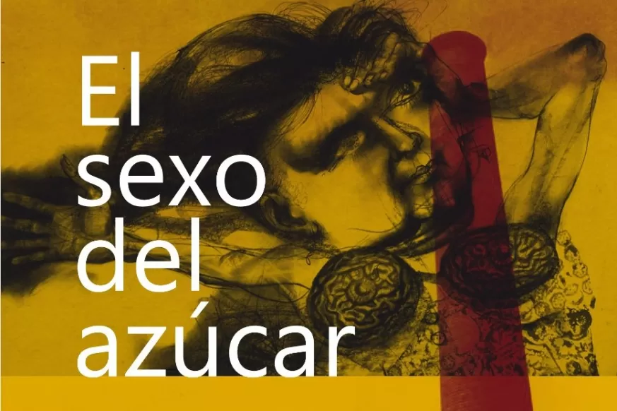 Presentan en el Virla la reedición de la novela “El sexo del azúcar”