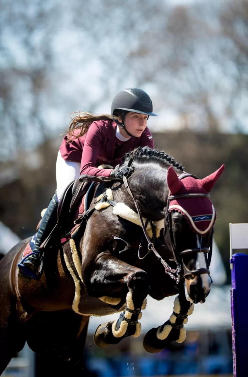 CONCENTRACIÓN. Martina Piola montará a “VDL Groep Zorro” en Pre Junior. Gentileza fotos de Josefina Manzur