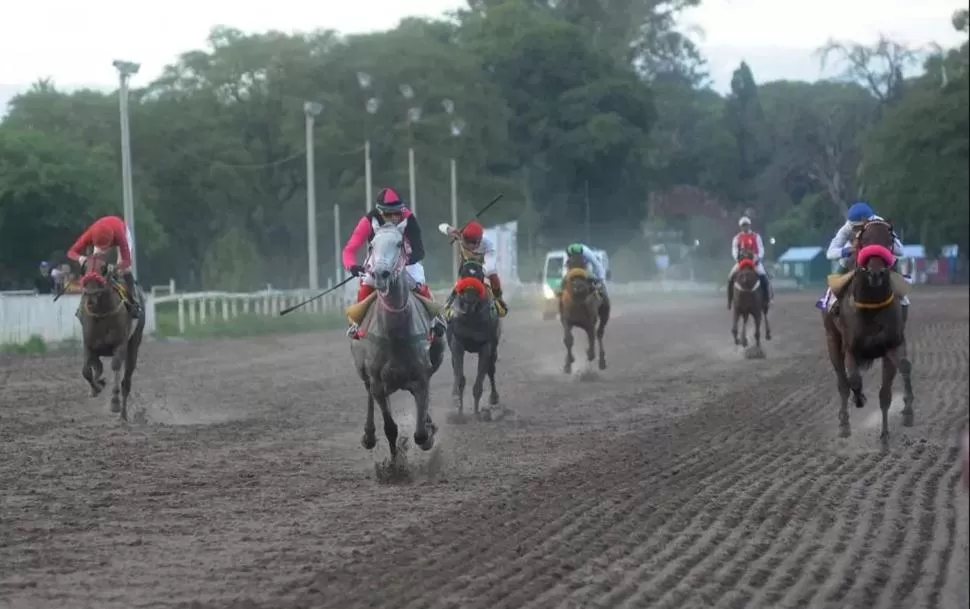 PROTAGONISTA. La tordilla Prohibition competirá en el especial de 1.500 metros. 