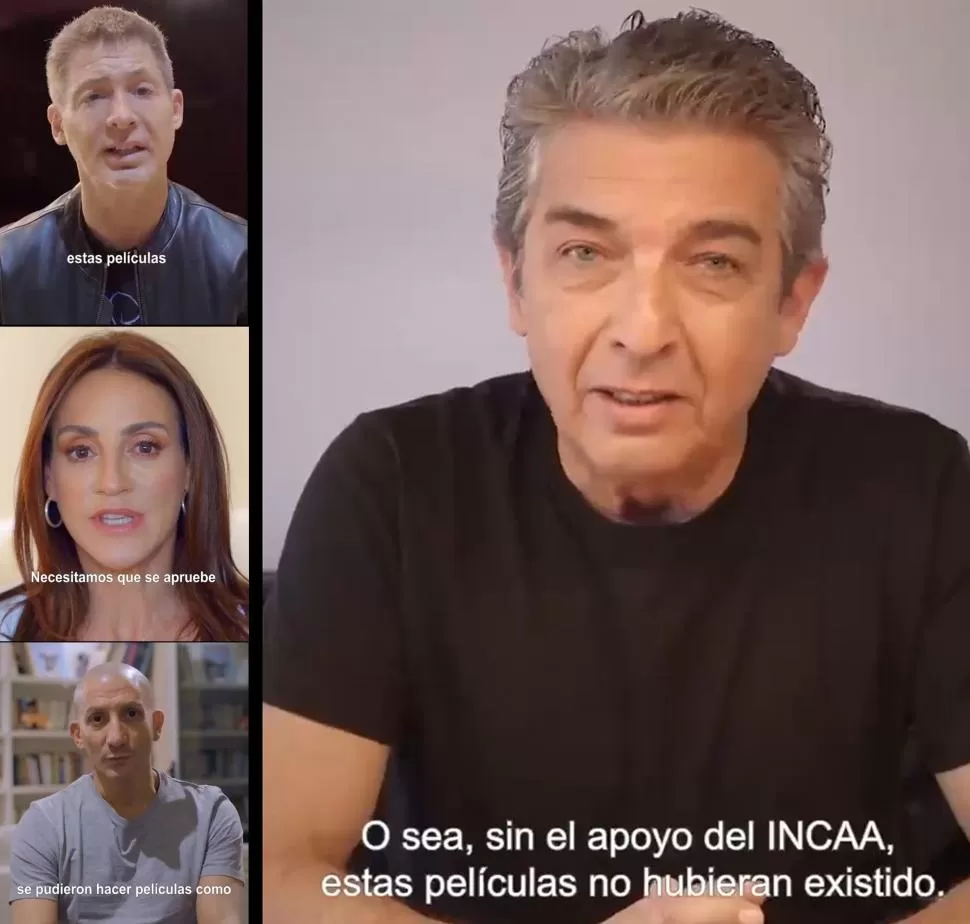 CAMPAÑA EN LAS REDES SOCIALES. Suar, Wexler, Minujín, Darín y otros protagonizan los spots de Sagai. captura de video
