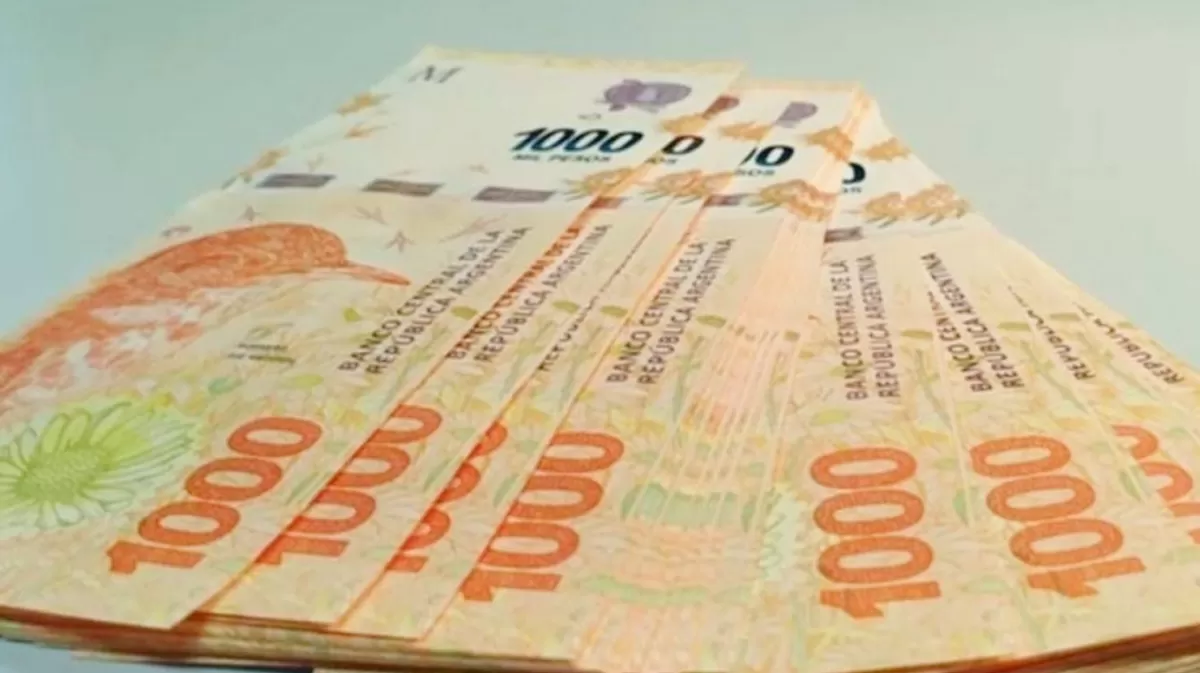 Refuerzo de Ingresos de Anses