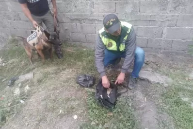 Bella Vista: secuestran cocaína y marihuana en un allanamiento