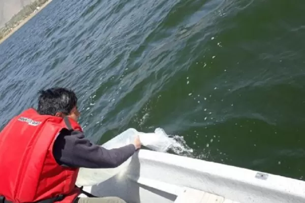 Sembraron 400.000 alevines de Pejerrey en diques tucumanos