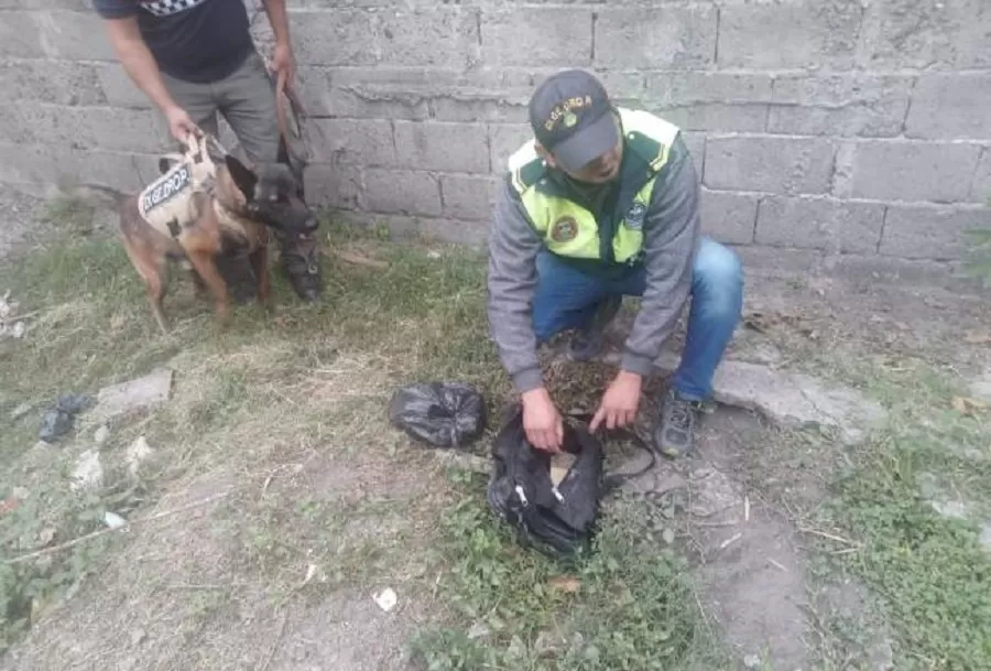 POLICÍAS EN ACCIÓN, en Bella Vista. 