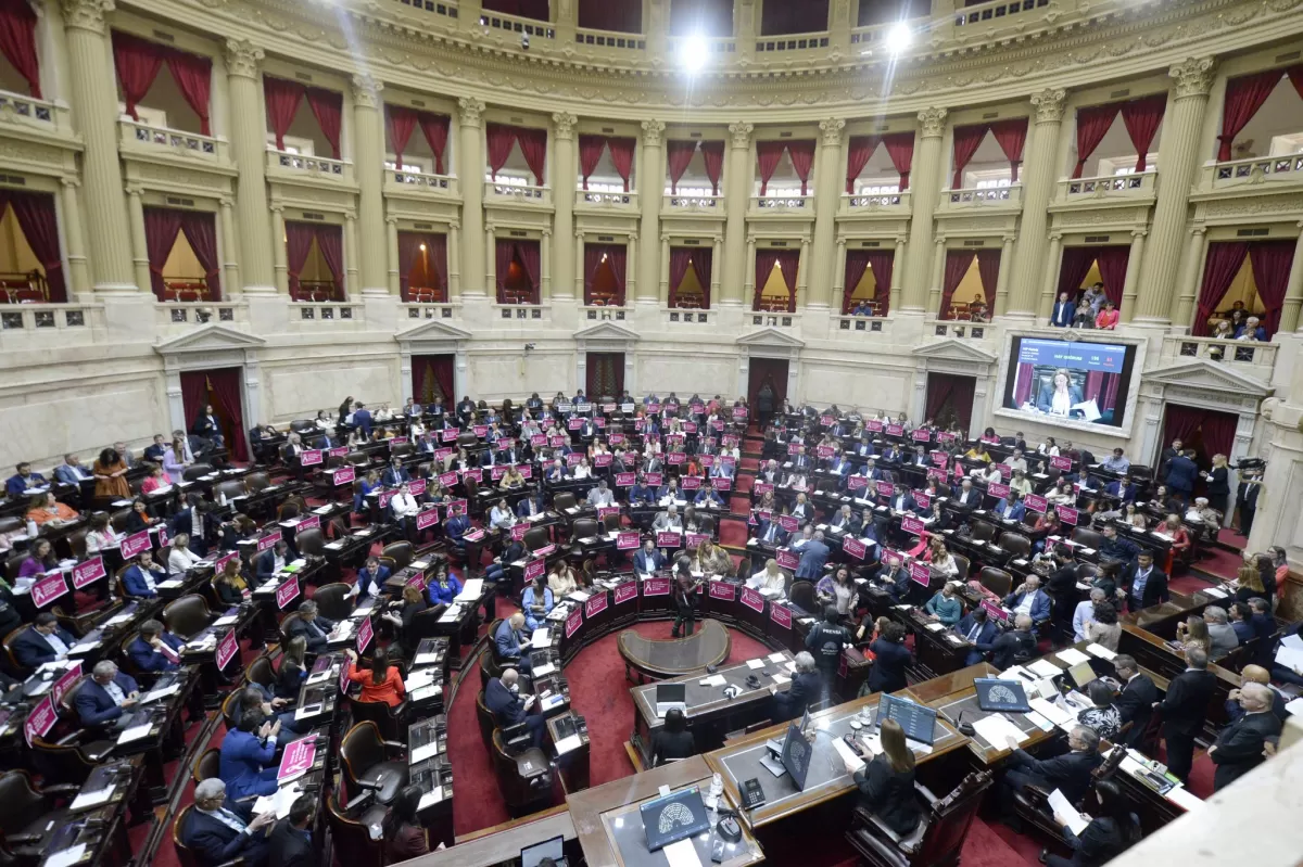 CÁMARA DE DIPUTADOS DE LA NACIÓN / Foto de Prensa HCDN