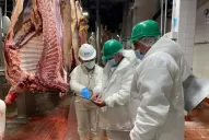 Los trozos de carne destinados a comercio nacional no podrán superar los 32 kilos