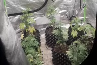 Tropezones en la puerta de la lucha antinarco