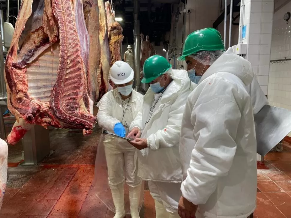 OBJETIVO. La Nación busca generar condiciones de trabajo saludables para los trabajadores de la industria cárnica.  