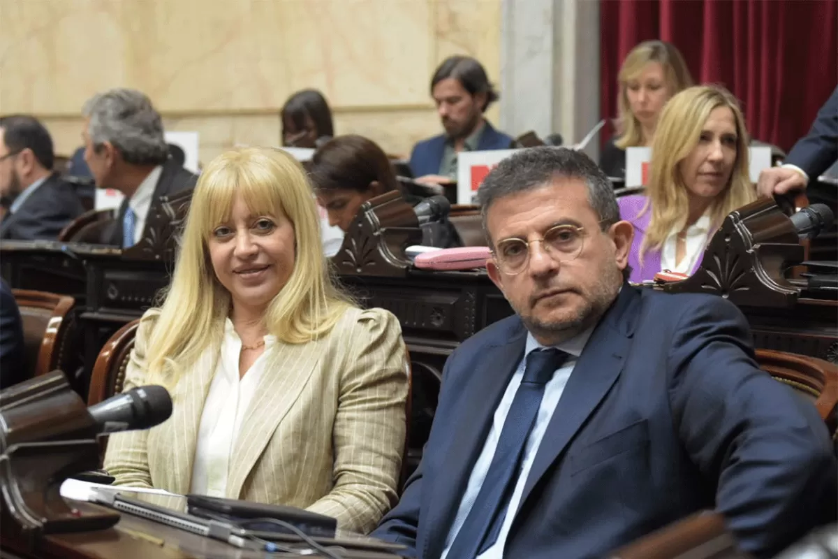 EN SESIÓN. Los oficialistas Rossana Chahla y Carlos Cisneros. 