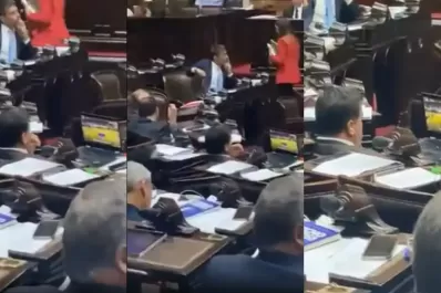 El diputado que miraba un partido de básquet durante la sesión rompió el silencio