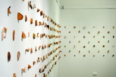 En el Munt, la experimentación está viva