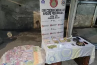 Narcomenudeo: habrá que esperar dos semanas para que rija la ley