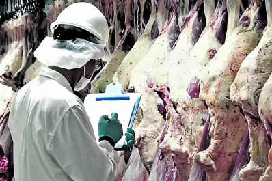Sector cárnico: el mes pasado se registró una caída en las exportaciones