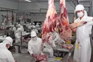 Detalles de la nueva normativa que afecta al sector de la carne