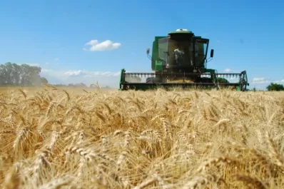 Bahillo reconoció el crítico estado del agro