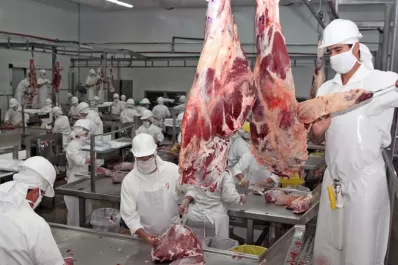 Detalles de la nueva normativa que afecta al sector de la carne
