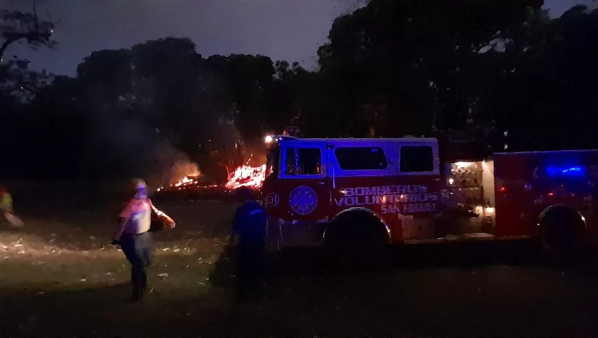 EN LLAMAS. Una palmera fue consumida por el fuego en el parque Guillermina.