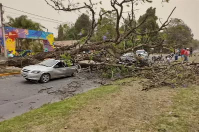 El viento causa estragos en distintos sectores de Tucumán