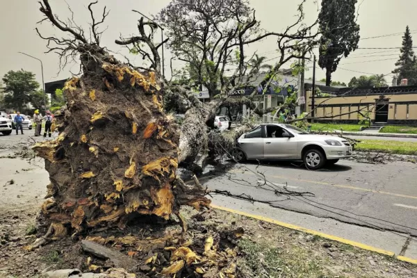 Vientos de hasta 70 km/h sorprendieron a Tucumán