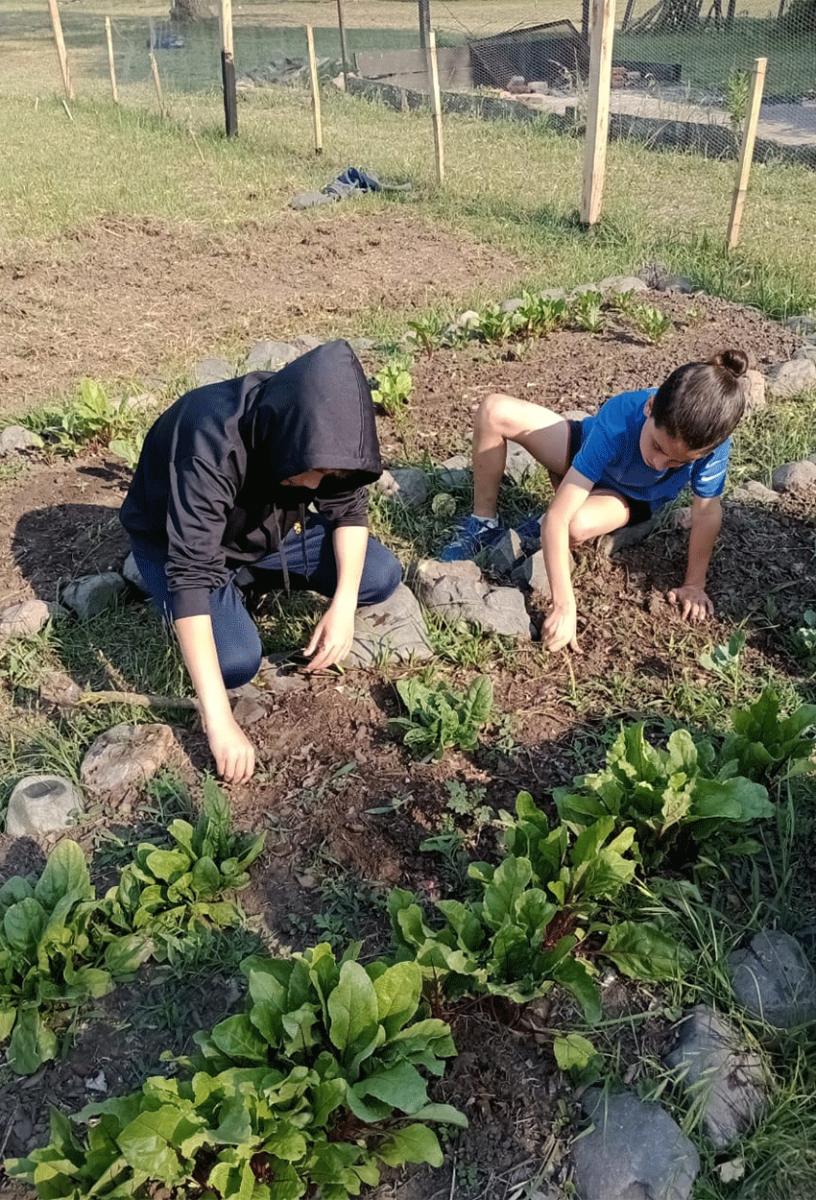 “Nueva Siembra”: un proyecto autogestionado que deja atrás la educación tradicional