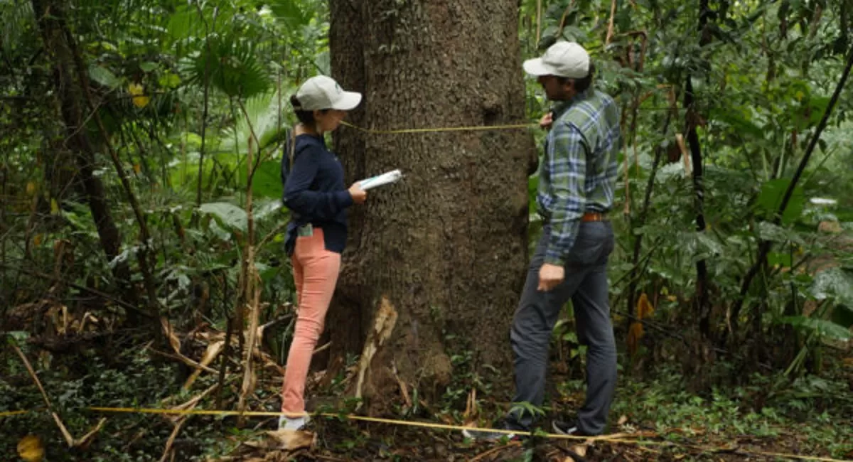 Ecología: ¿ciencia ambiental o militancia política?