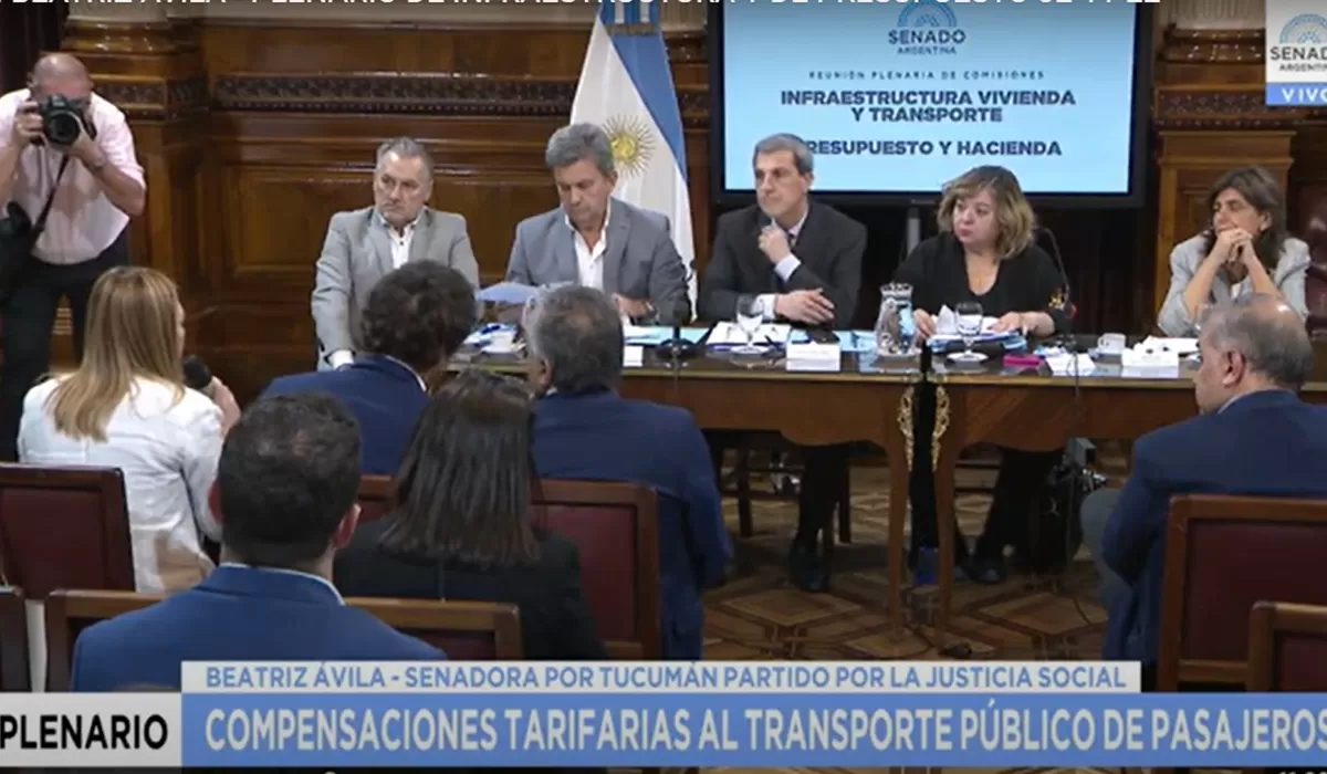 DEBATE. Senadores analizan proyectos sobre una nueva forma de distribuir subsidios al transporte. En la imagen, la senadora Beatriz Ávila expone ante las autoridades de las comisiones.