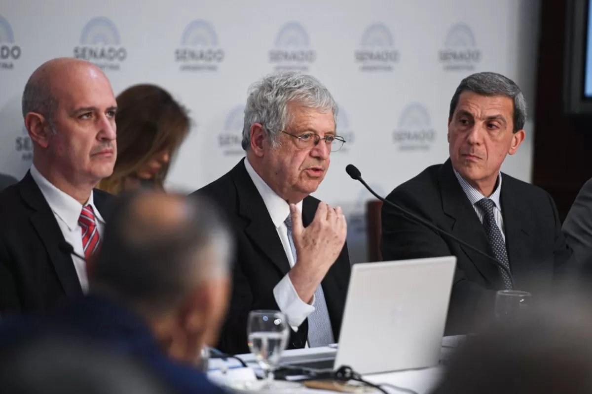 Gabriel Rubinstein en el Senado