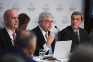 Gabriel Rubinstein defendió el endeudamiento en pesos y cuestionó a la oposición