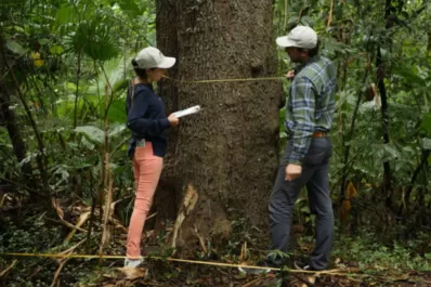 Ecología: ¿ciencia ambiental o militancia política?