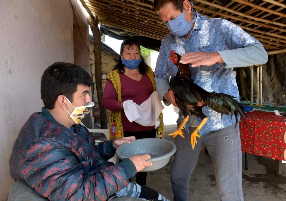 INMOVILIZADOS. La jueza determinó que se imposibilite el traslado de los animales. 