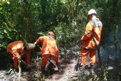 Incendio en Santa Ana: los bomberos combaten el fuego cerca de la  Reserva Natural