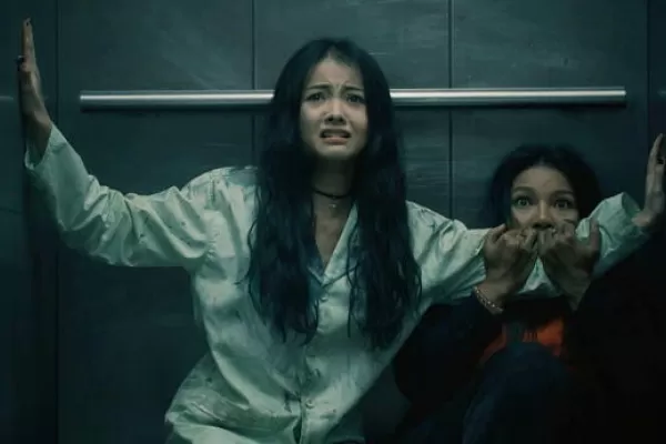 Terror vietnamita, drama social y un documental sobre Malvinas