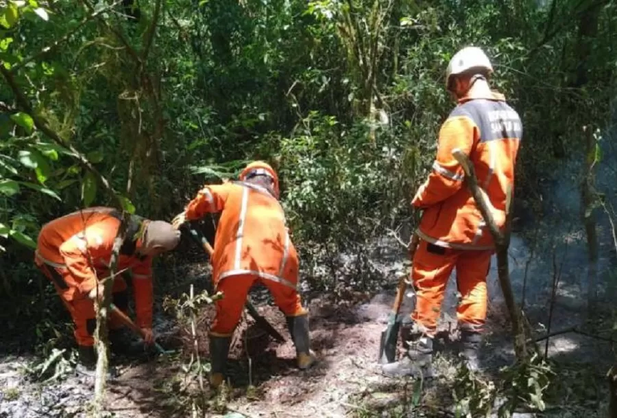 Incendio en Santa Ana: los bomberos combaten el fuego cerca de la  Reserva Natural