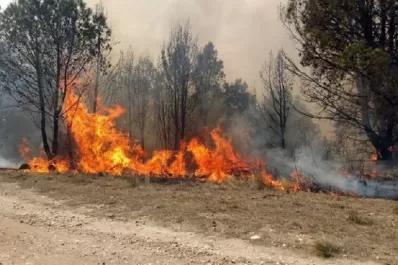 Arde el Norte de Salta: los incendios forestales generan alarma en la provincia