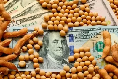 Productores opinan que el “dólar agro” no les alcanza
