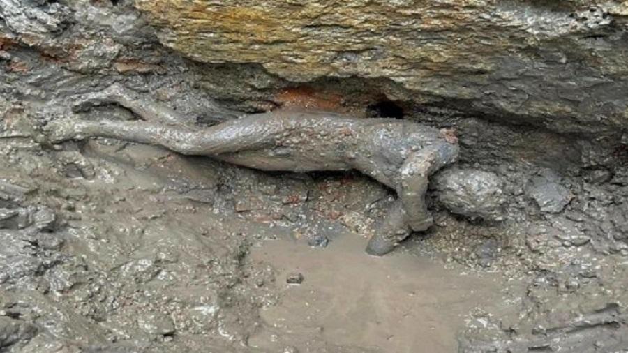 Las piezas se encontraron en las piscinas sagradas del santuario etrusco-romano de la localidad de San Casciano dei Bagni, ubicada en la Toscana italiana. Foto: EFE