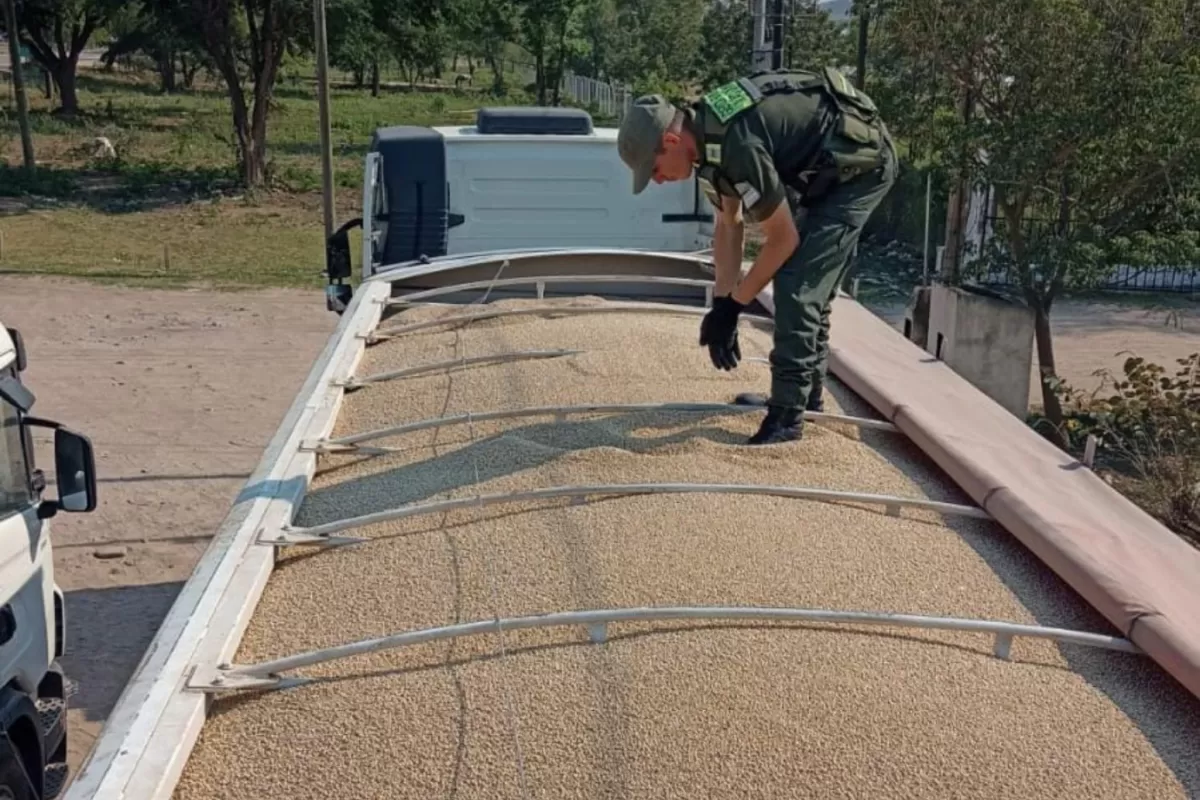 Incautan en Salta 223 toneladas de granos