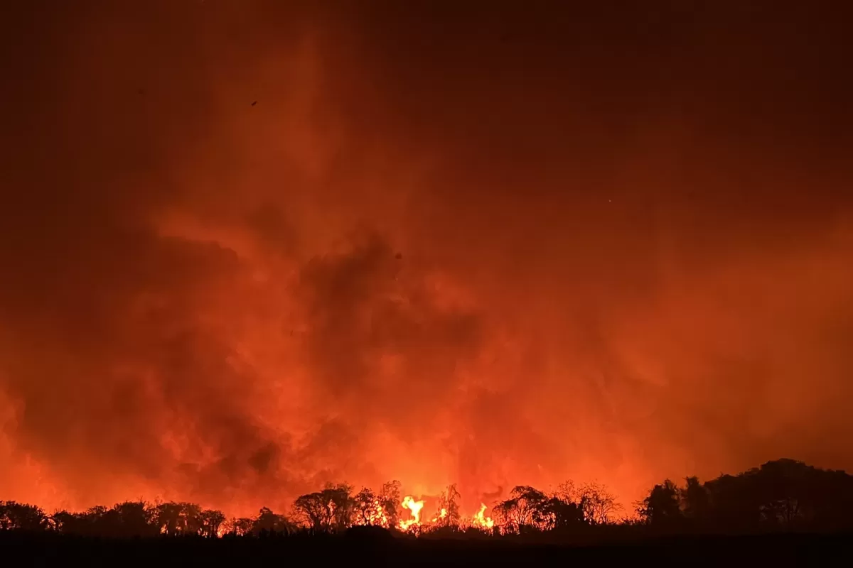Incendios en el norte de la provincia de Salta