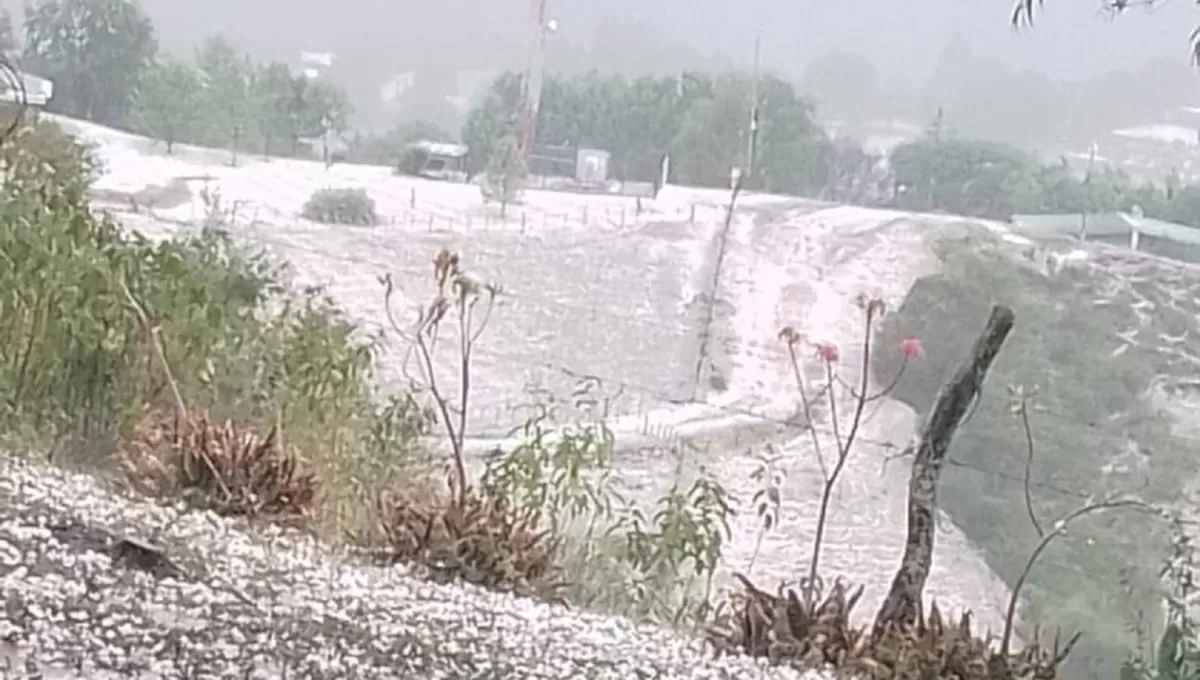 El granizo no provocó daños mayores, aseguró Defensa Civil