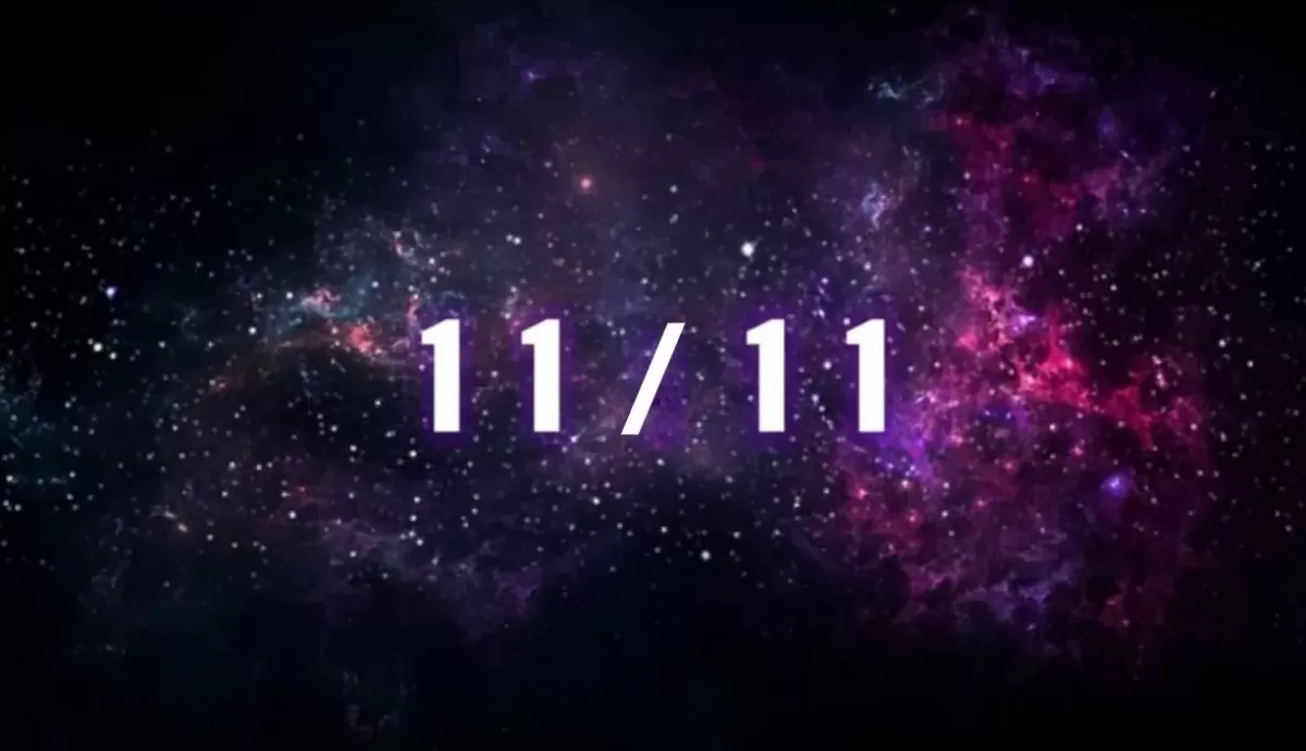 Portal 11.11