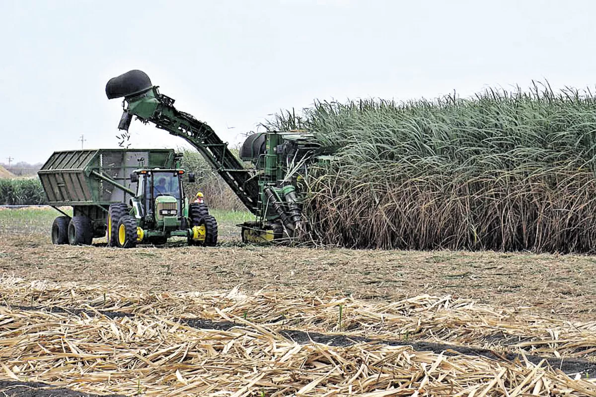 El Ipaat presentó una nueva herramienta que agiliza la información