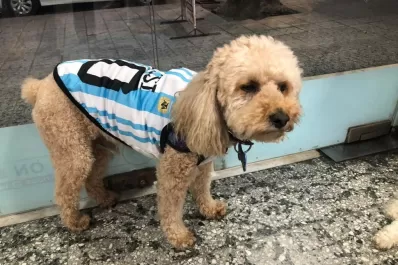 Rumbo a Qatar 2022: ellos también piden por la Copa