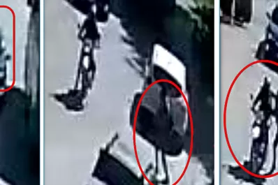 Condenaron a tres años de prisión a un joven por una millonaria salidera