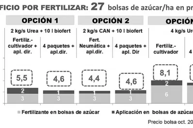 Aun con el alto precio del fertilizante, su aplicación sobre caña soca resulta rentable