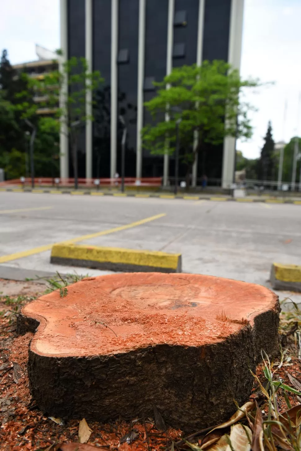  LA GACETA / FOTO DE DIEGO ÁRAOZ