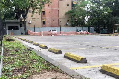 Los efectos invisibles del arboricidio