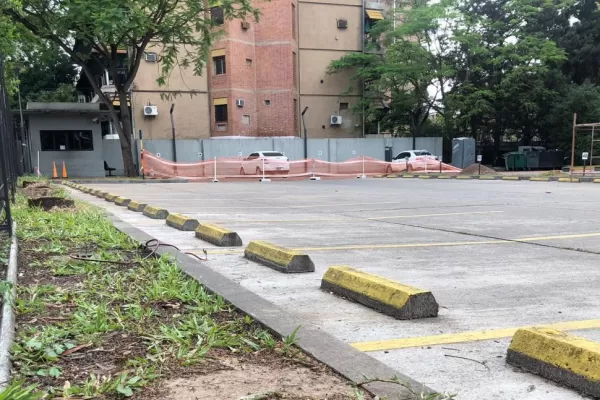 Los efectos invisibles del arboricidio